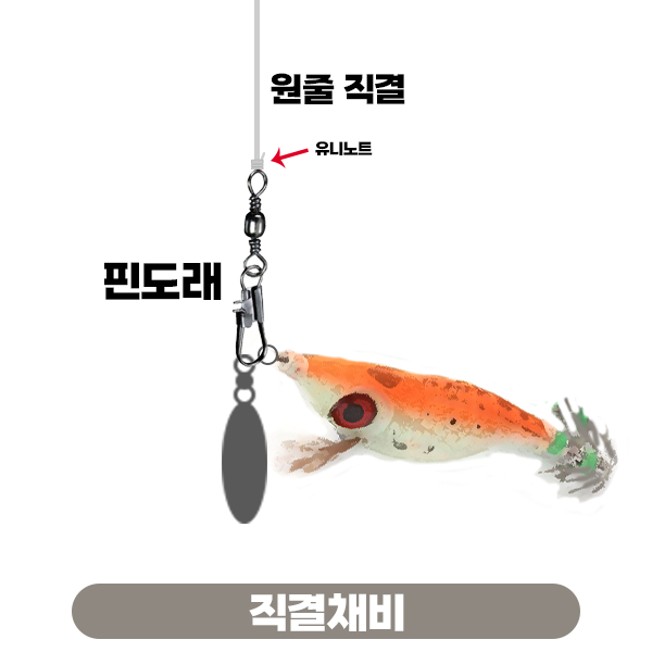 갑오징어 직결