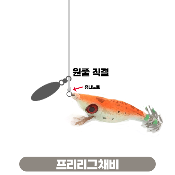 갑오징어 프리리그