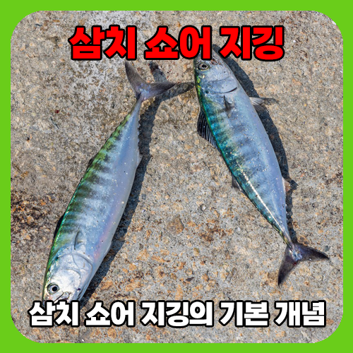 쇼어지깅