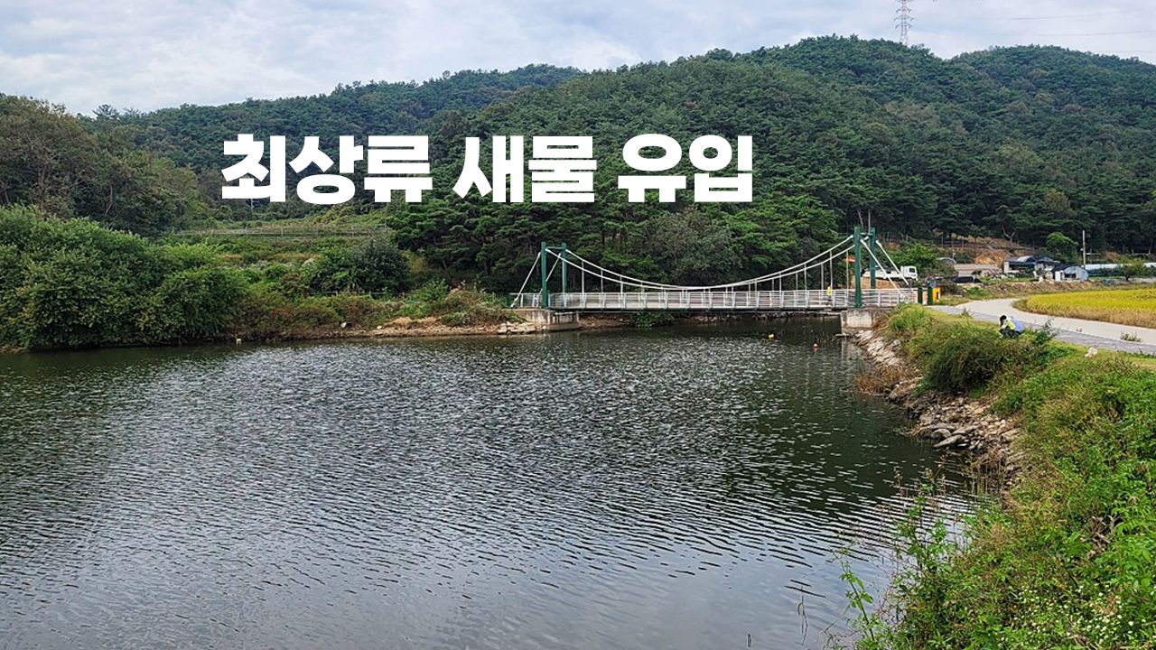 배스 포인트 최상류