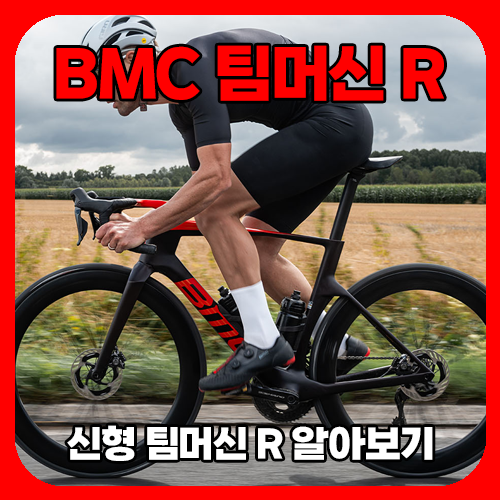 팀머신R